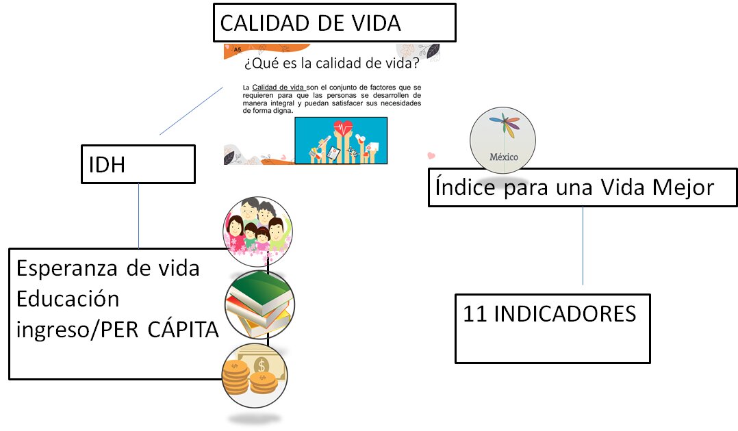 Calidad de Vida y Servicios