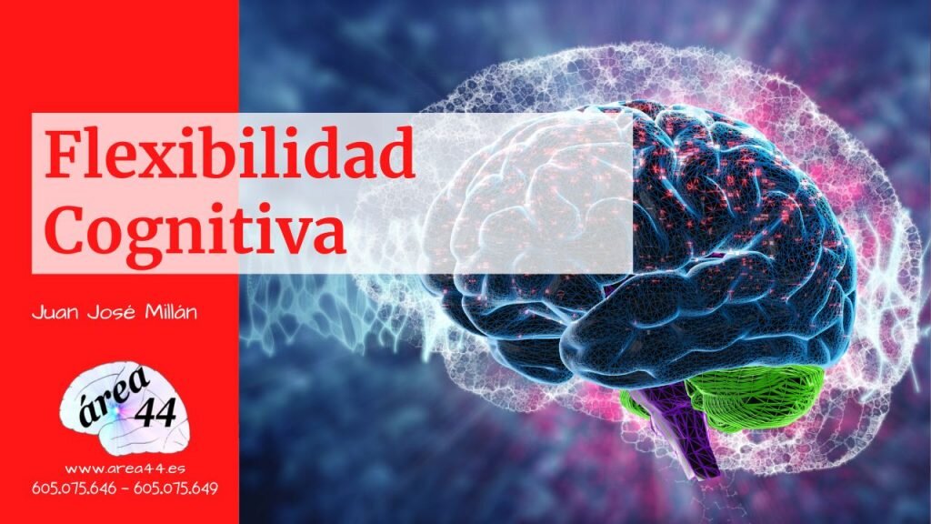 Capacidad de Respuesta y Flexibilidad