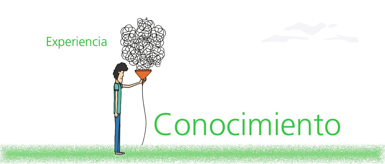 Experiencia y Conocimientos del Asesor