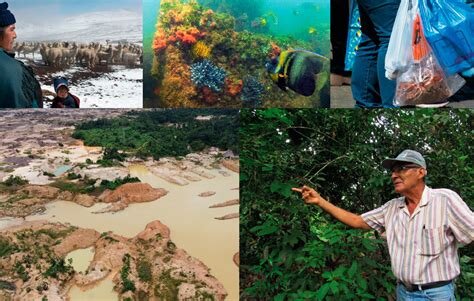 Impacto de la Conservación en los Precios del Barrio Histórico