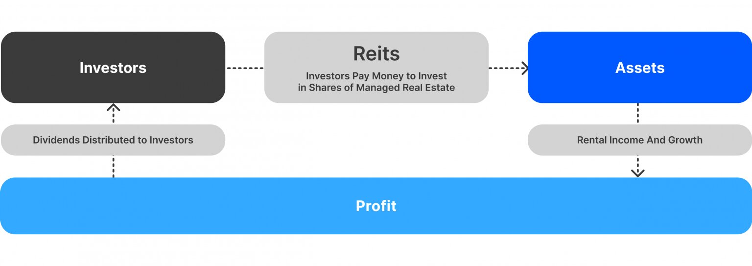 Oportunidades de Inversión en los REIT en 2025