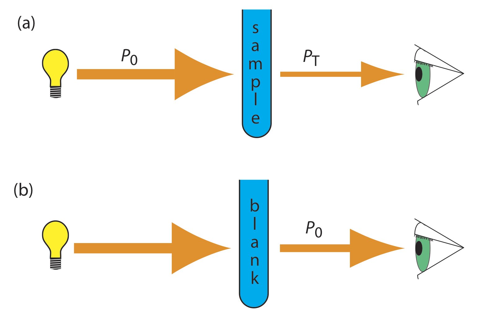 ¿Qué es la absorbancia?