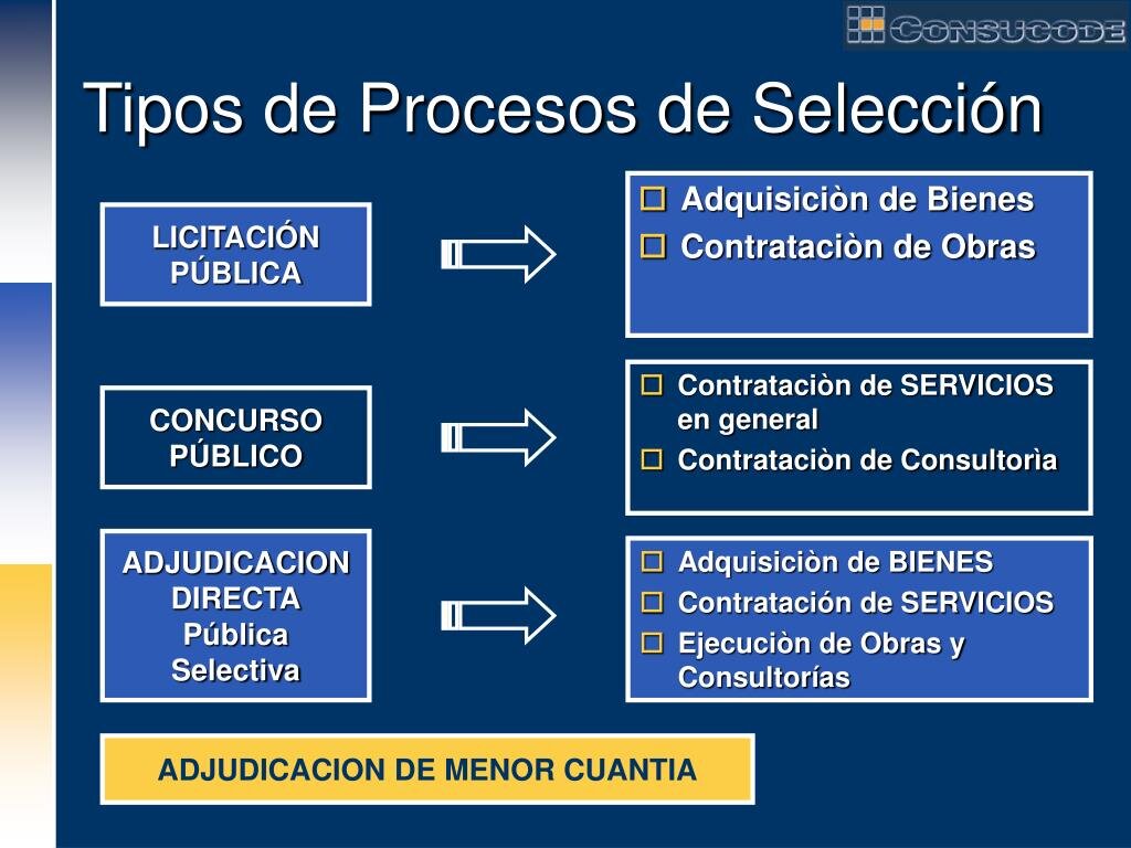 Selección y adjudicación