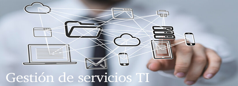 Servicios Incluidos en la Gestión